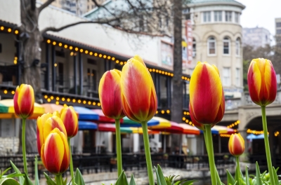 San Antonio River Walk March 2025